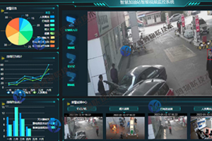加油站实时监测及智能预警系统