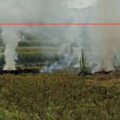 加油站视频烟火检测系统 加油站视频监控分析系统