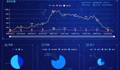 基于AI视频分析的实时客流量动态统计